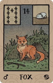 Akashic Eye Lenormand – Fox