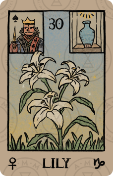 Akashic Eye Lenormand – Lily