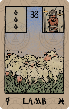 Akashic Eye Lenormand – Lamb