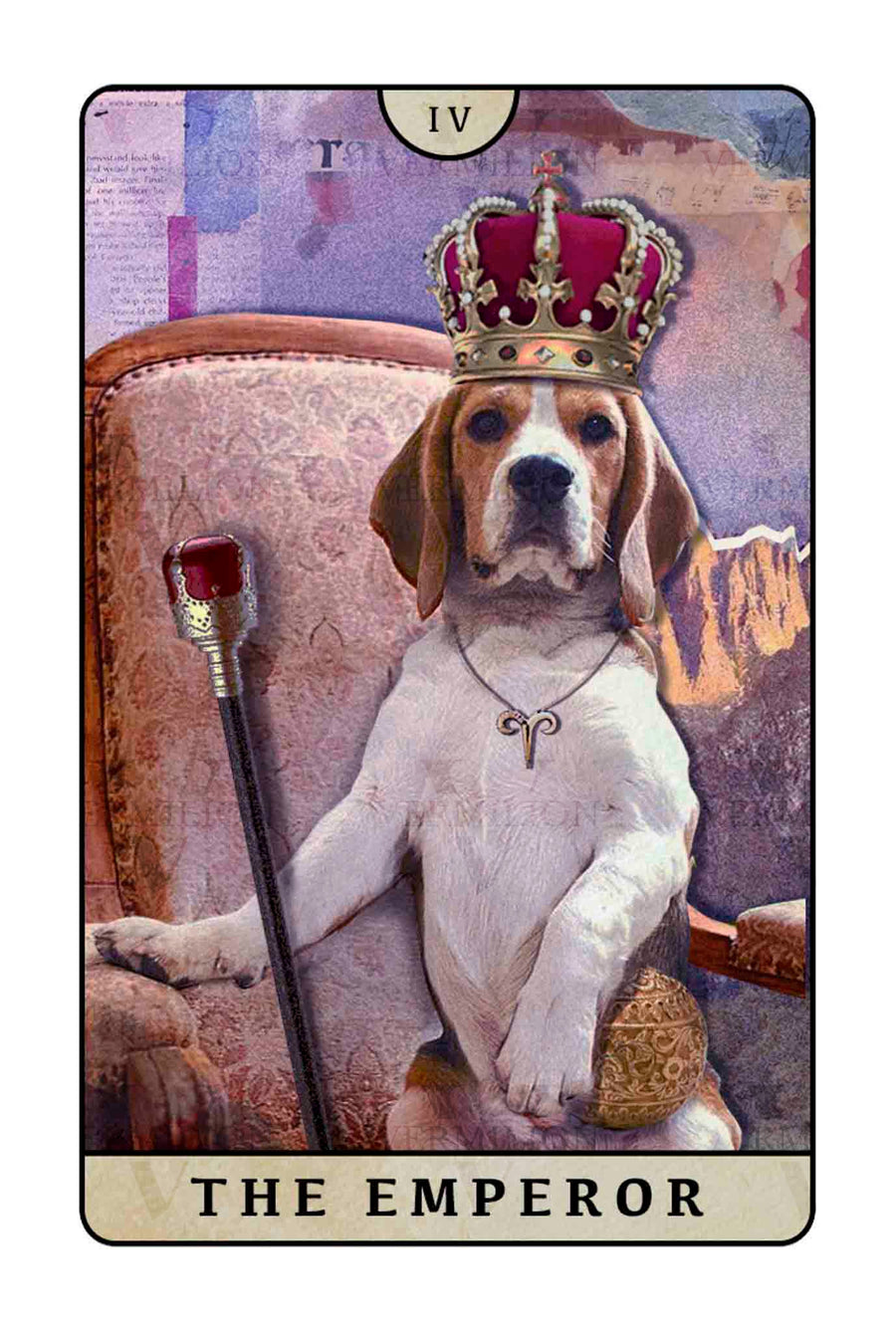 Beagle Dogs Tarot – The Emperor