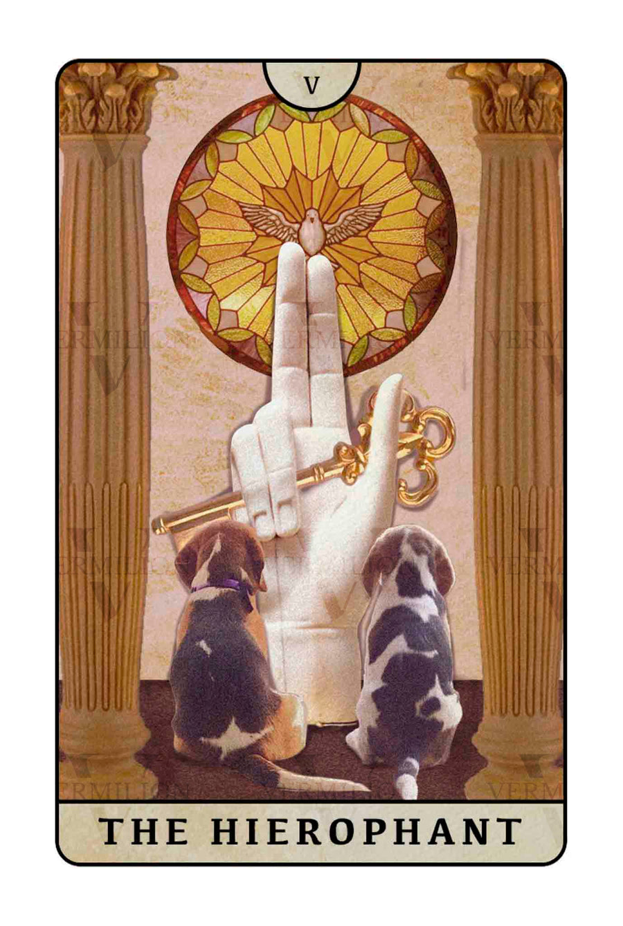 Beagle Dogs Tarot – The Hierophant