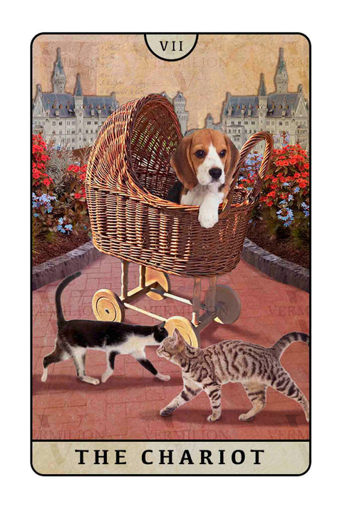 Beagle Dogs Tarot – The Chariot