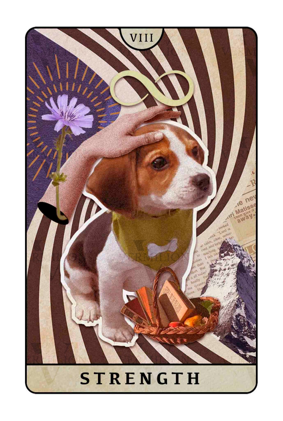 Beagle Dogs Tarot – Strength