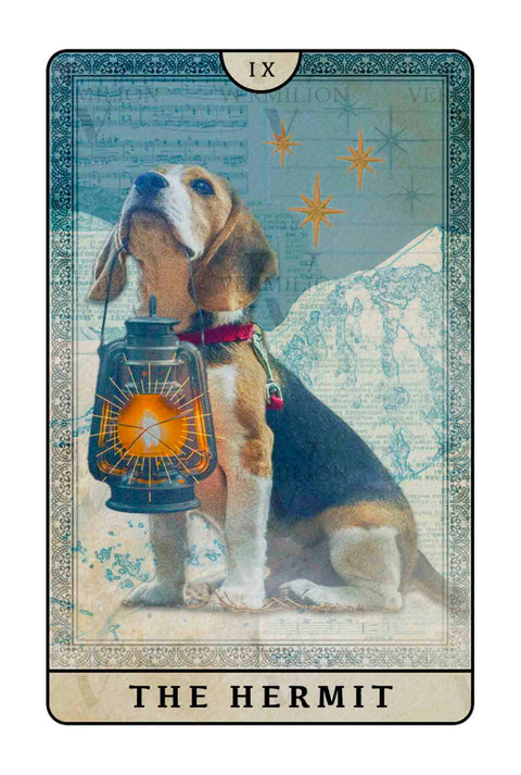 Beagle Dogs Tarot – The Hermit