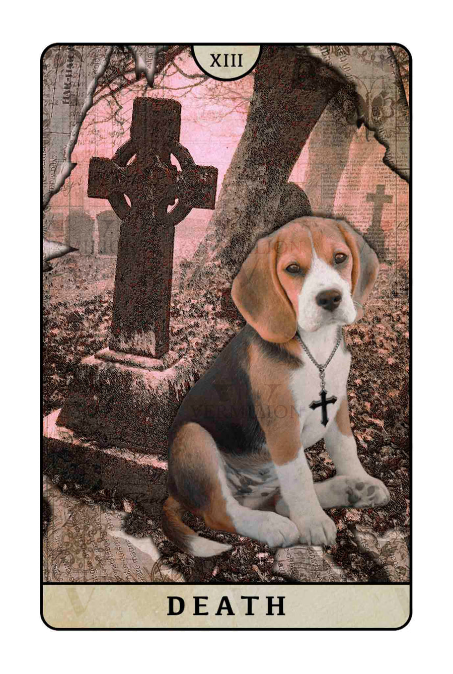 Beagle Dogs Tarot – Death