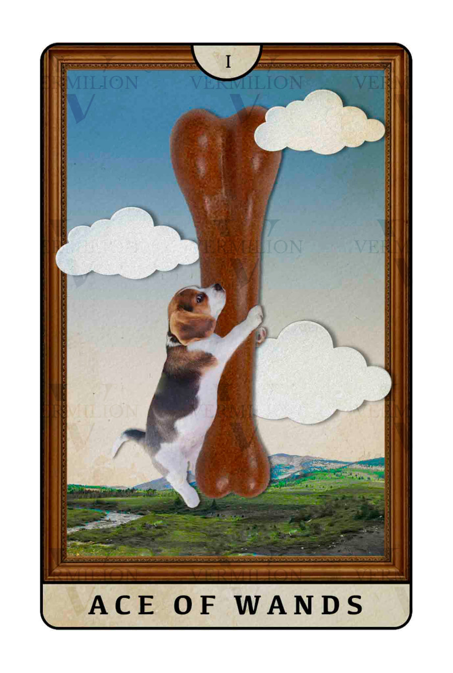 Beagle Dogs Tarot – Ace of Wands