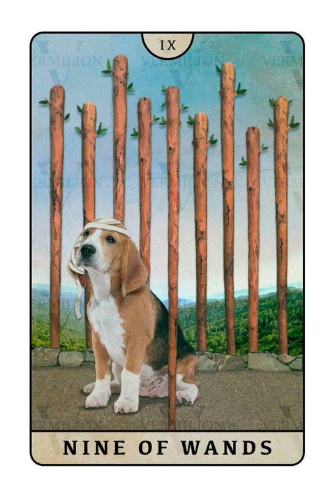 Beagle Dogs Tarot – Nine of Wands