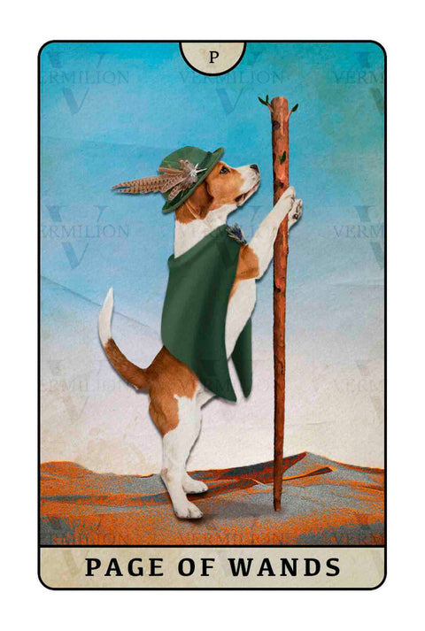 Beagle Dogs Tarot – Page of Wands