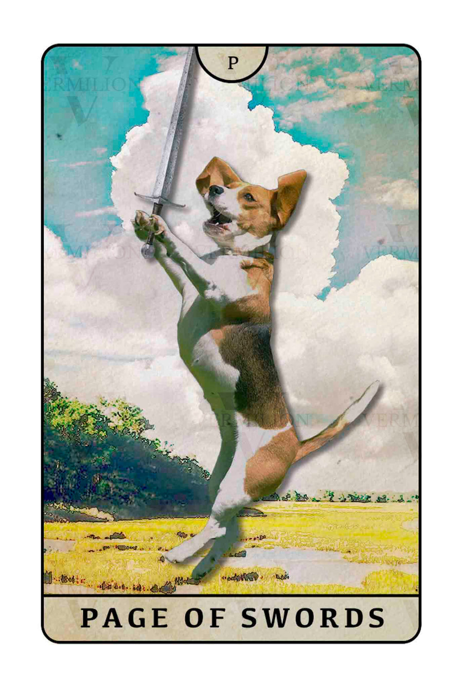 Beagle Dogs Tarot – Page of Swords