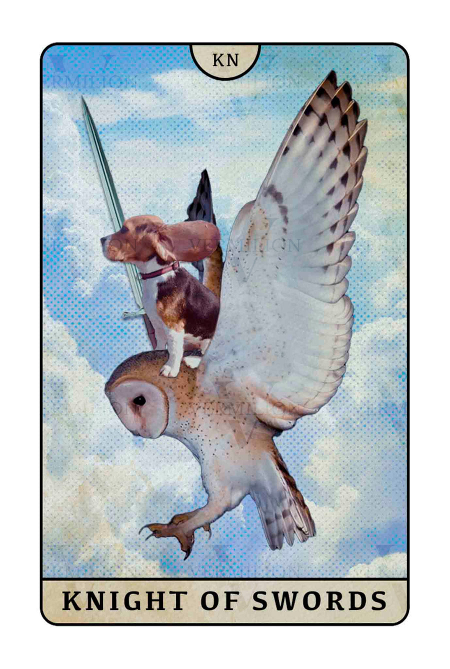 Beagle Dogs Tarot – Knight of Swords
