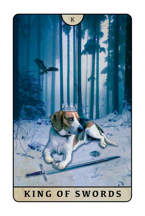 Beagle Dogs Tarot – King of Swords