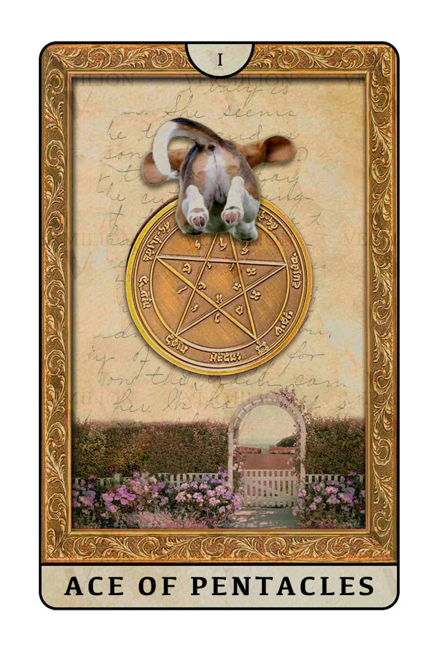 Beagle Dogs Tarot – Ace of Pentacles