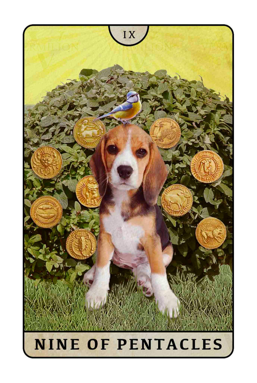 Beagle Dogs Tarot – Nine of Pentacles