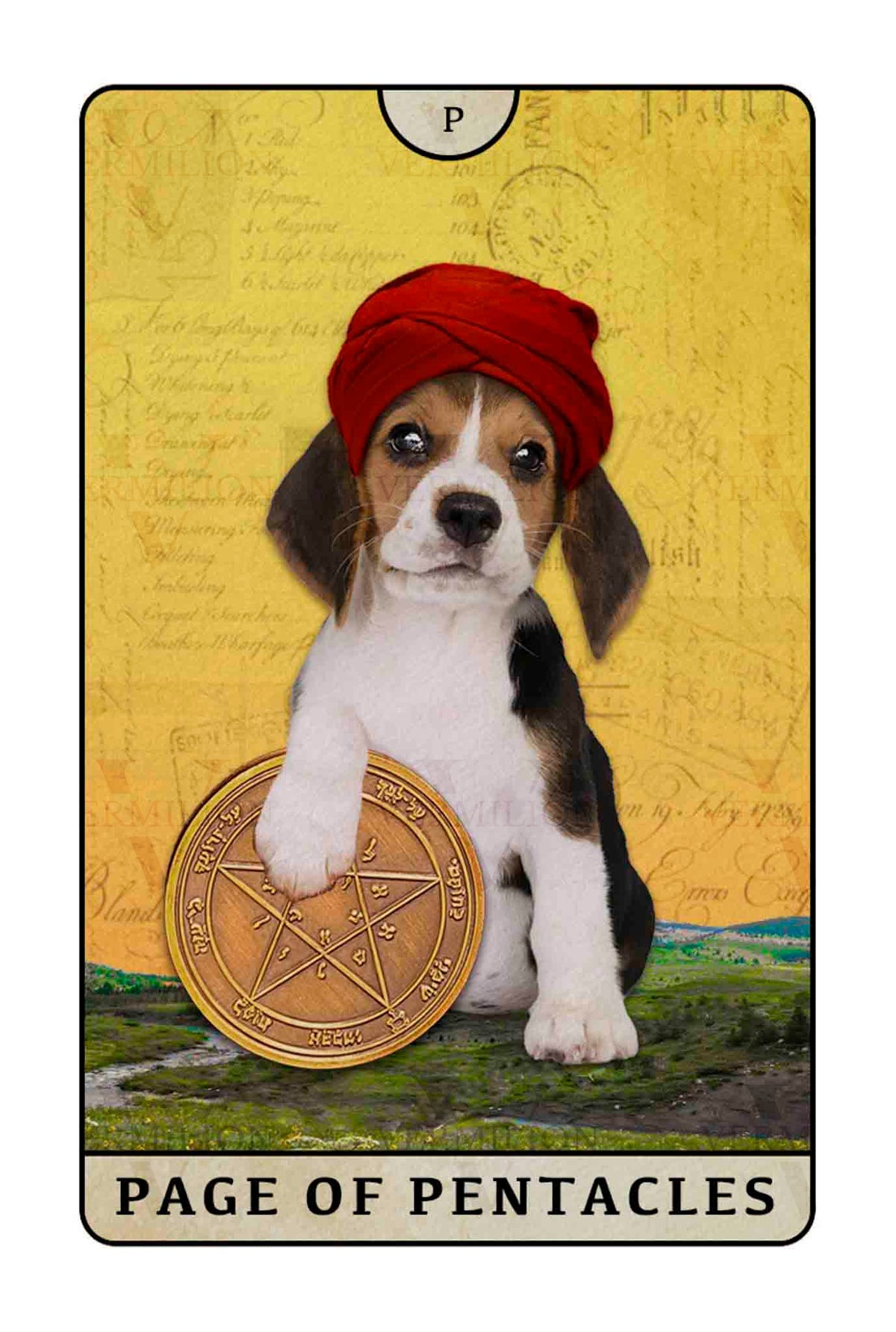 Beagle Dogs Tarot – Page of Pentacles