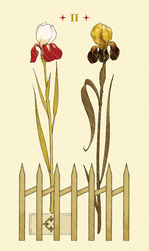 Dawn of Dreams Tarot – Two of Wands