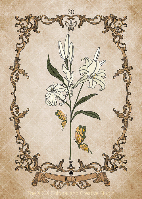 Psyche Lenormand – Lily