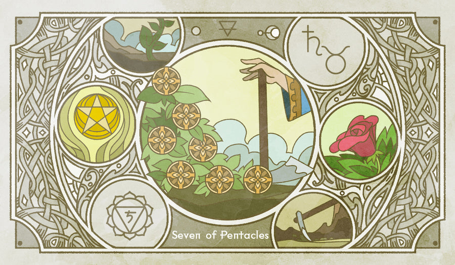 Sambucus Tarot - RWS Version – Seven of Pentacles