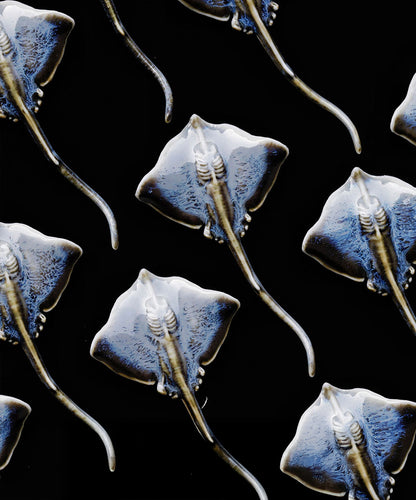 YIHE Ceramic Brooches "Batoids"