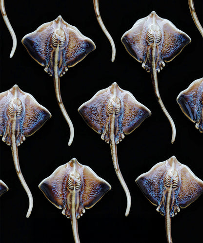 YIHE Ceramic Brooches "Batoids"