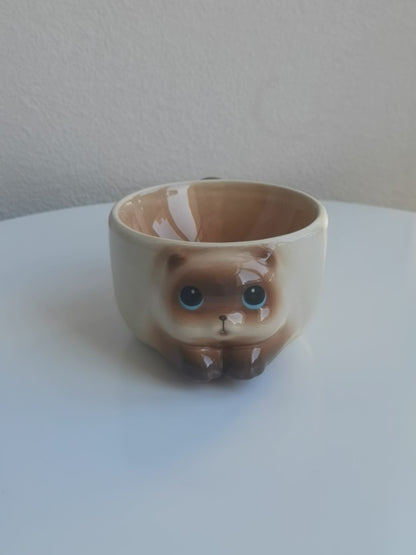 Purrfect Cat Bowl Collection