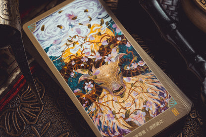 靈津典辭易經六十四卦牌