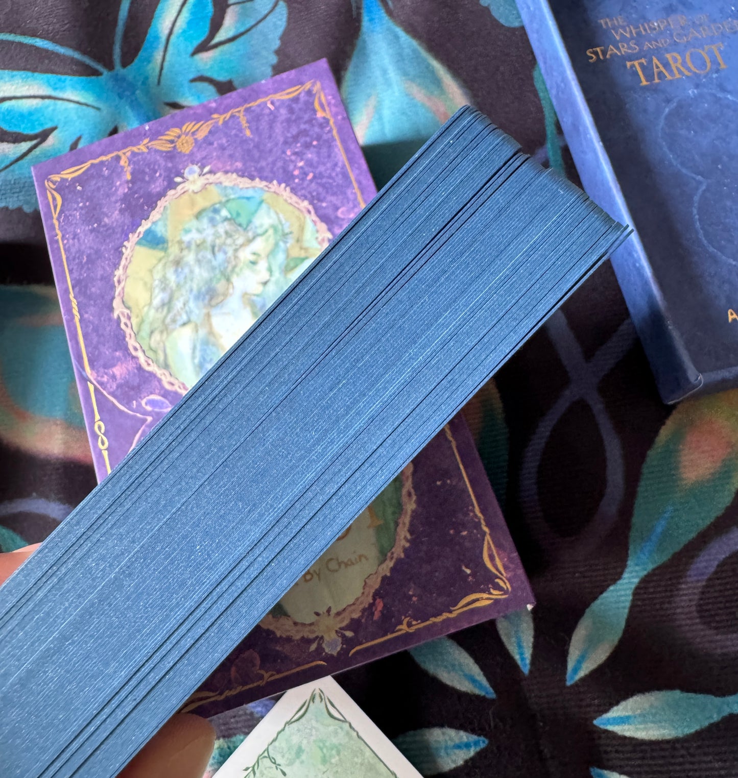 繁星与花园的低语塔罗牌