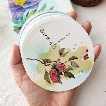 Herbal Inspiration Cards