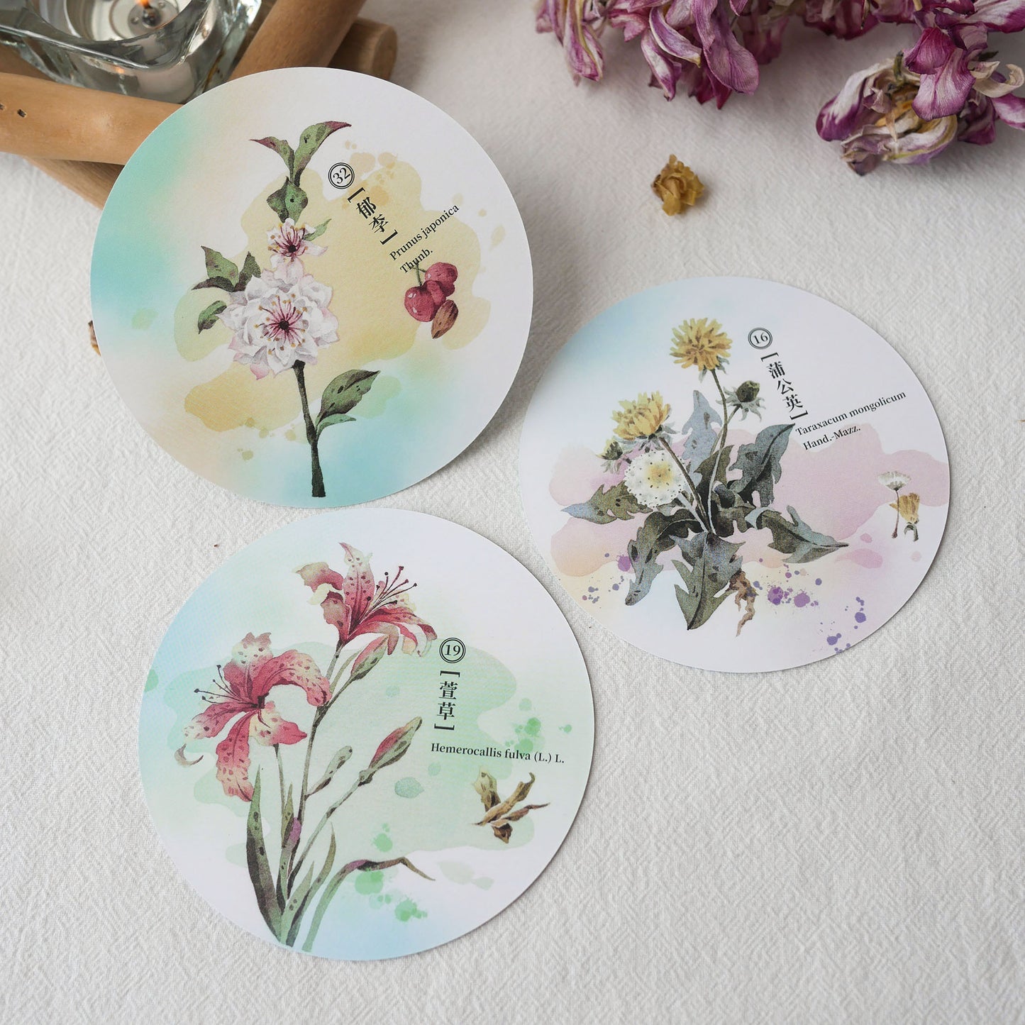 Herbal Inspiration Cards