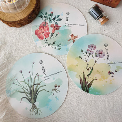 Herbal Inspiration Cards