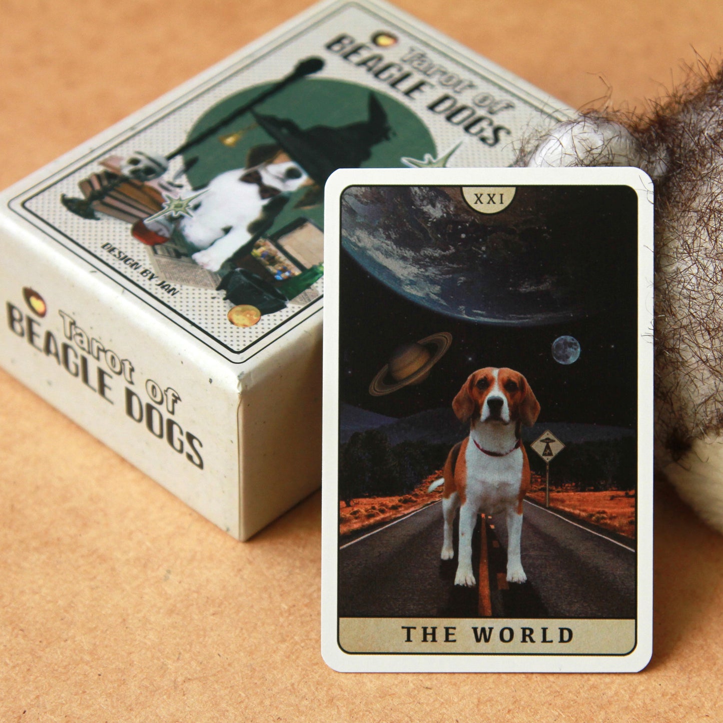 Tarot of Beagle Dogs