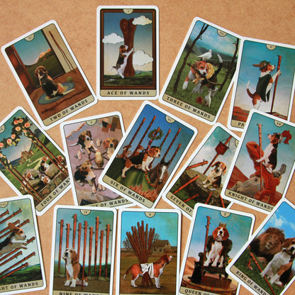 Tarot of Beagle Dogs