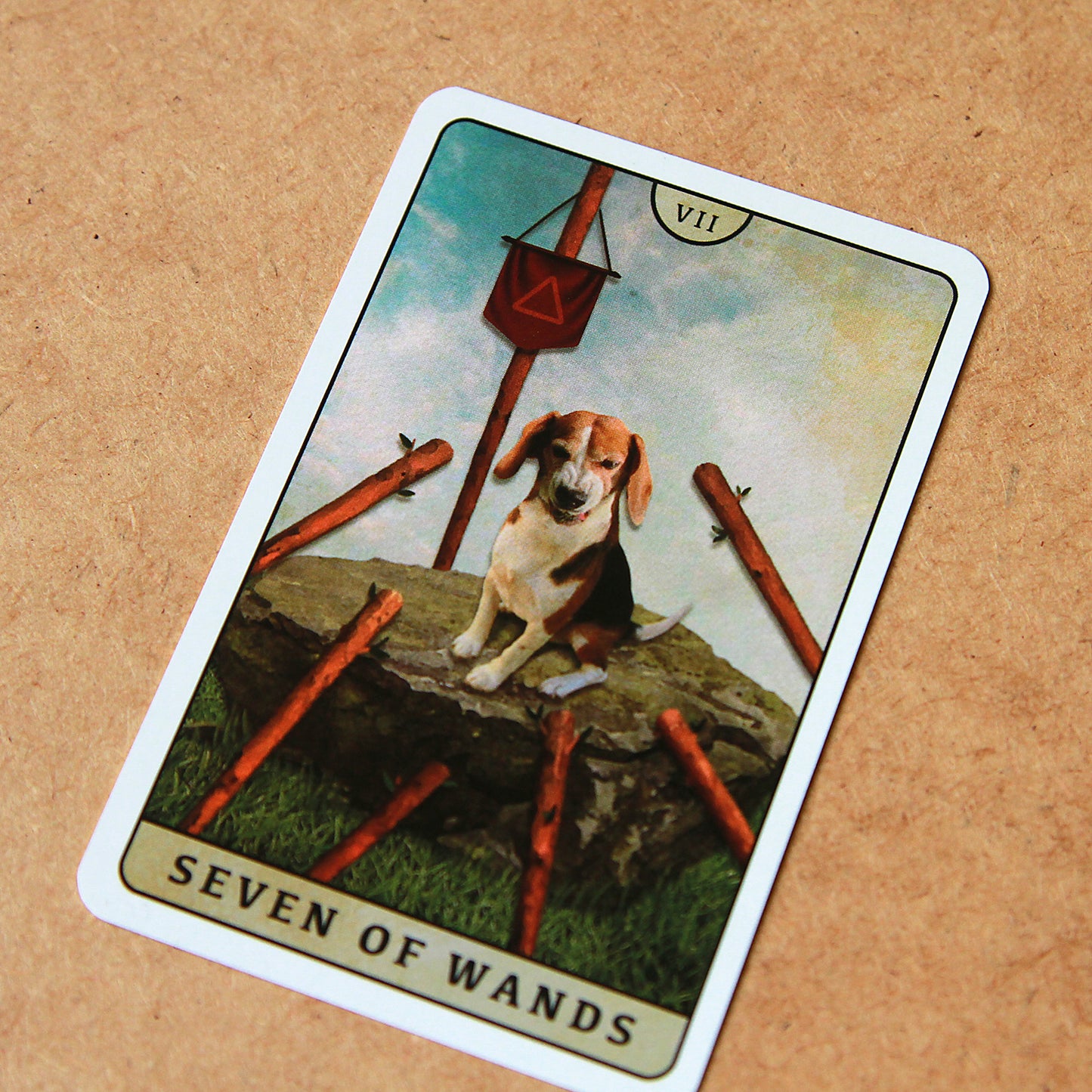 Tarot of Beagle Dogs