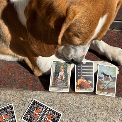 比格犬塔羅牌
