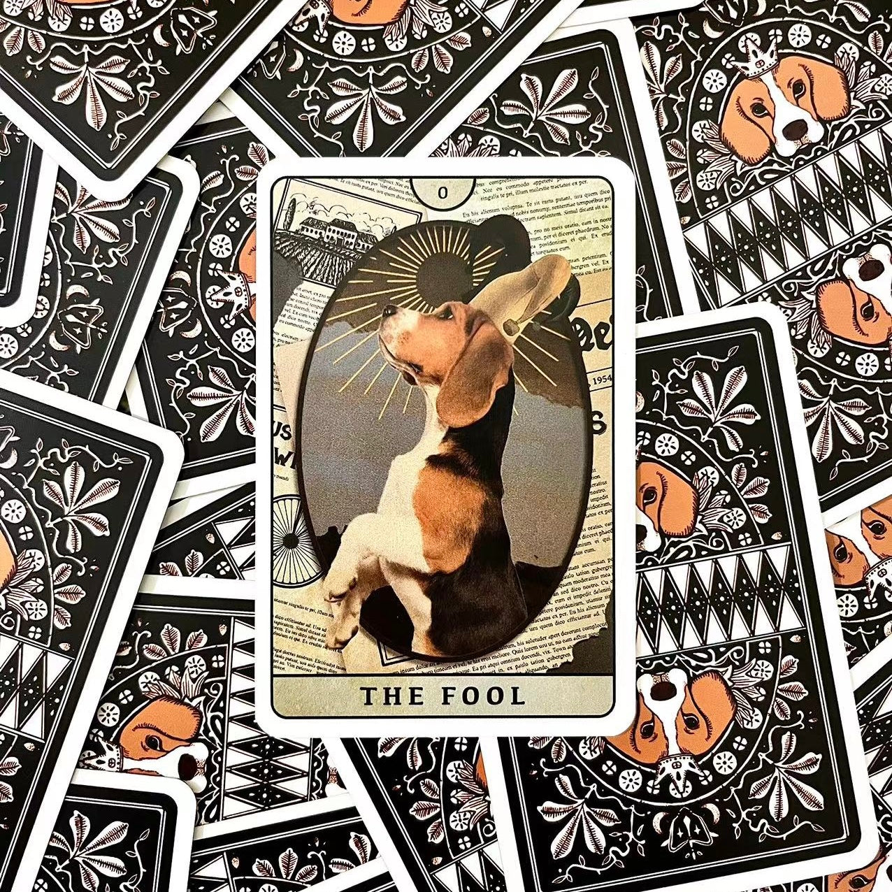 比格犬塔羅牌