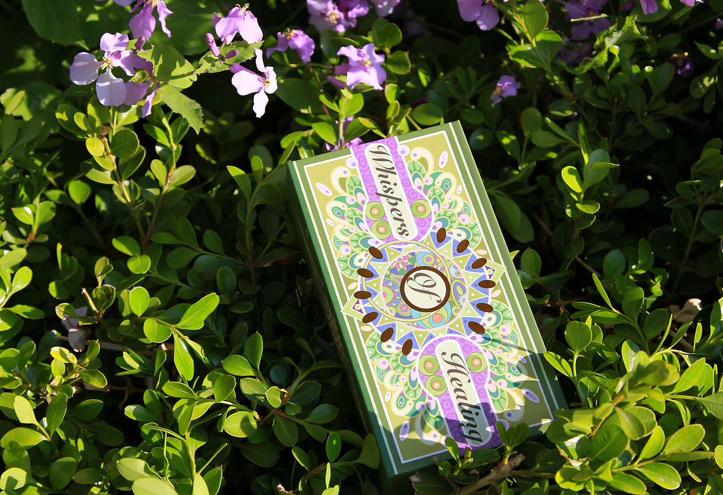 Whispers of Healing Tarot