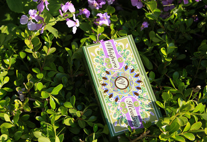 Whispers of Healing Tarot