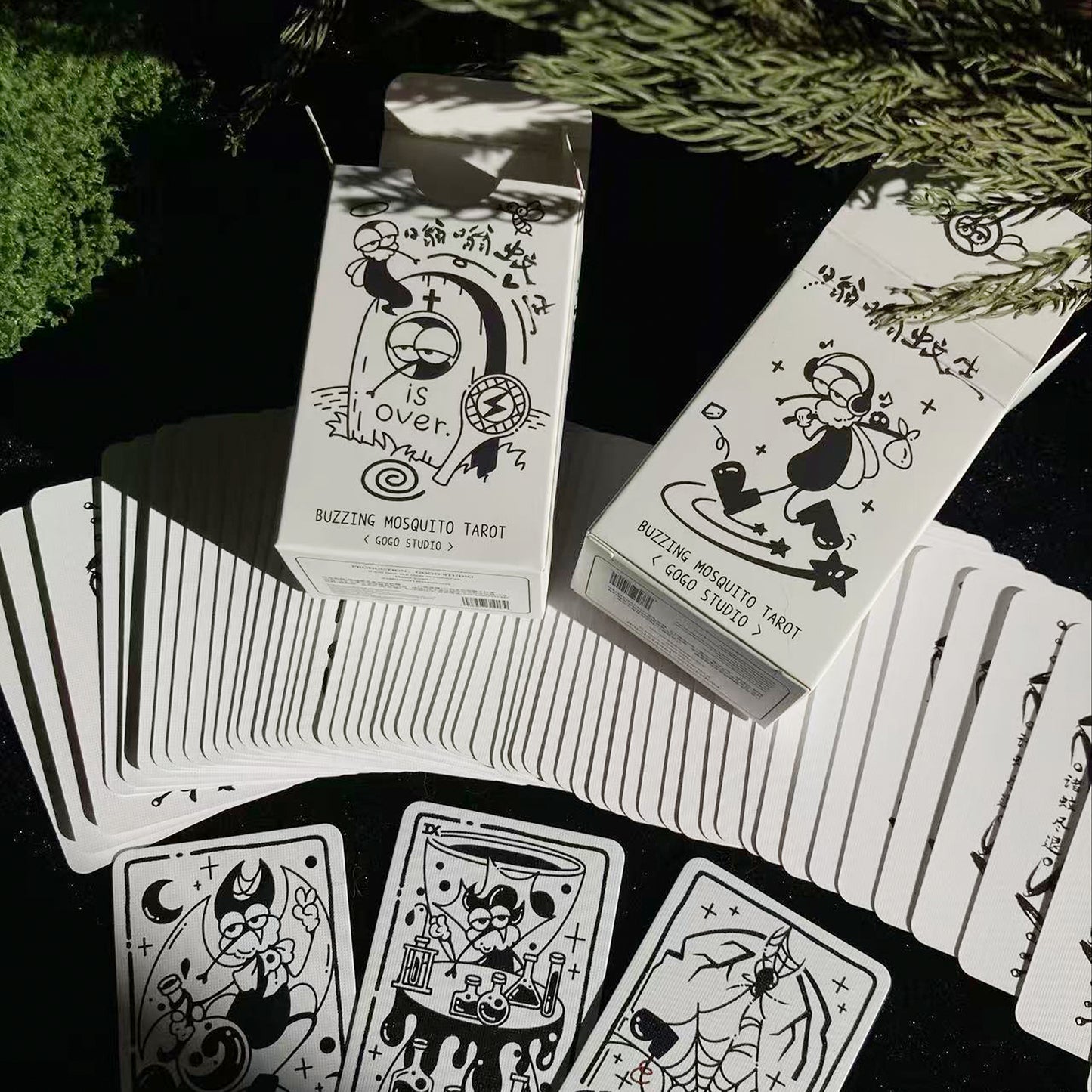 Buzzing Mosquito Tarot & Lenormand