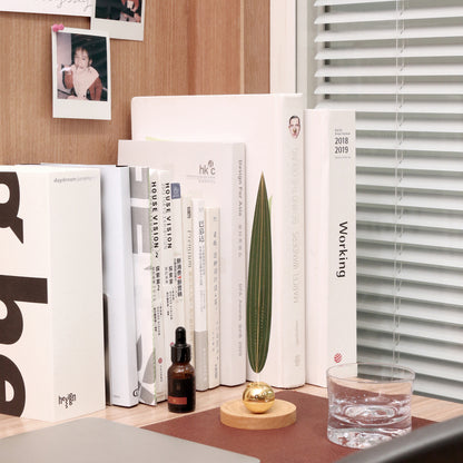 Dancing Wind Essential Oil Diffuser