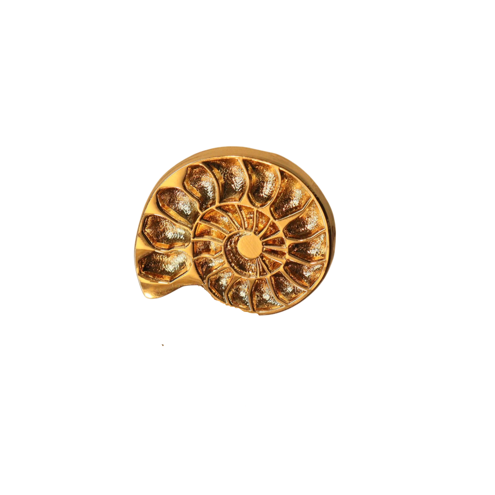 Fanli Enamel Pins "Nautilus"