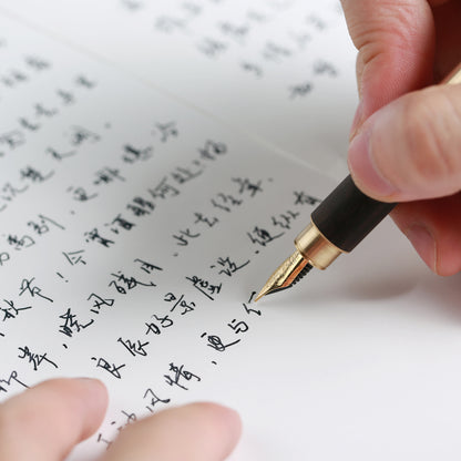Marks of Time Fountain Pen
