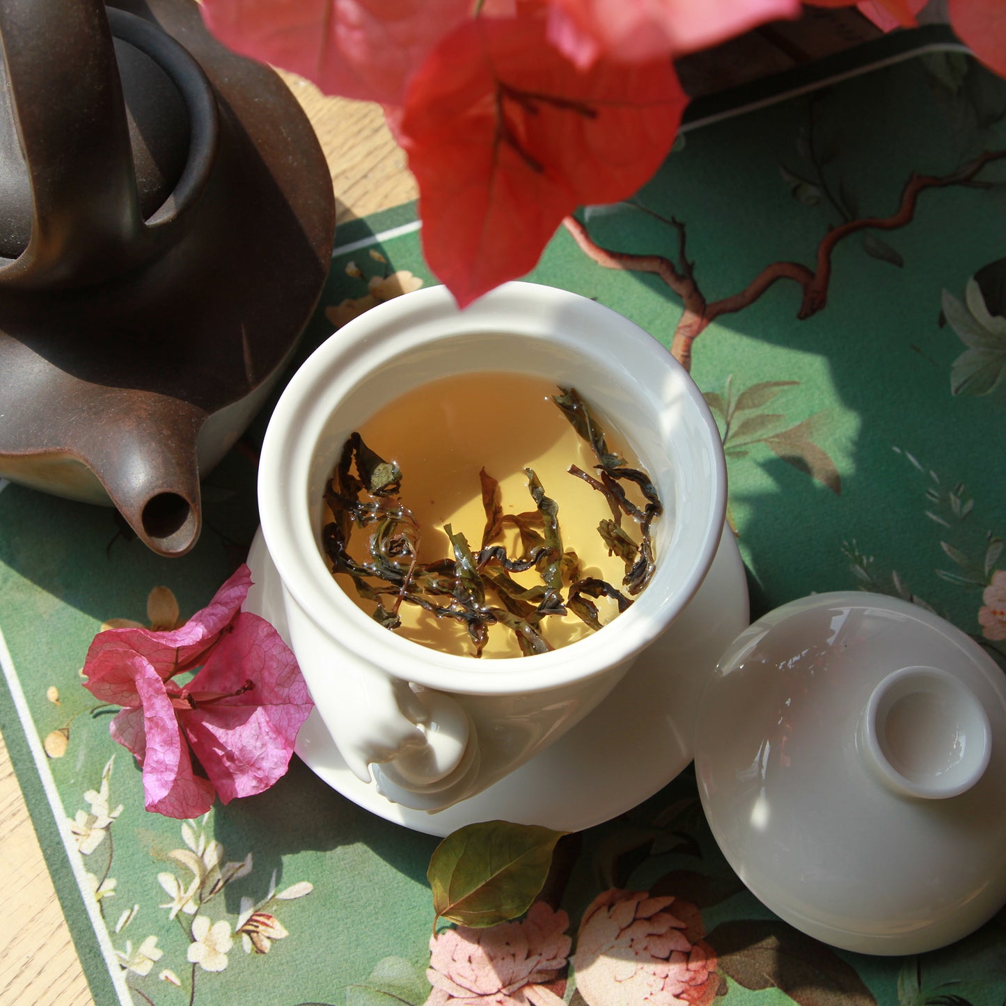 Tea With Me Gaiwan