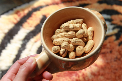Purrfect Cat Bowl Collection