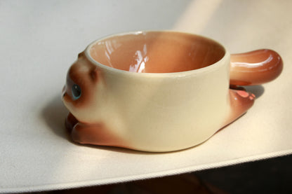 Purrfect Cat Bowl Collection
