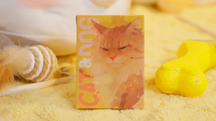 Cat & Dog Playing Cards