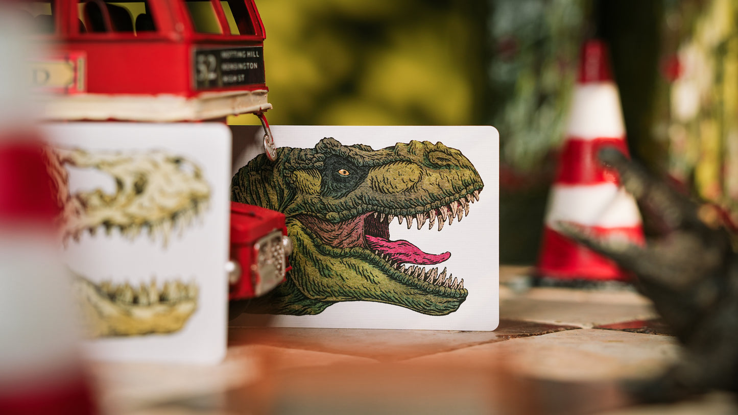 Zoo 52 Colored Collection Playing Cards