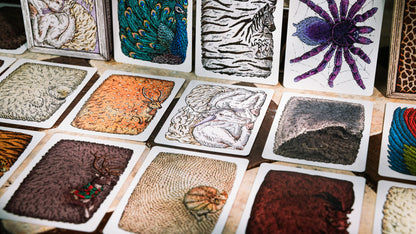 Zoo 52 Colored Collection Playing Cards