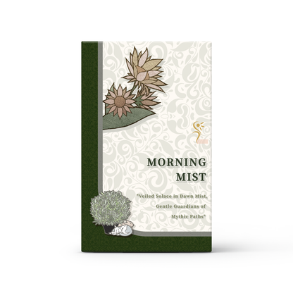 Morning Mist Tarot
