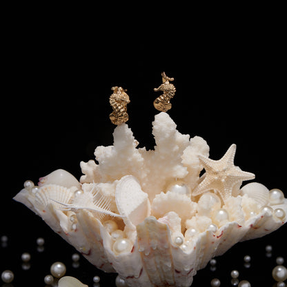 daparo Creature Jewelry Sets "Longnose Seahorse"
