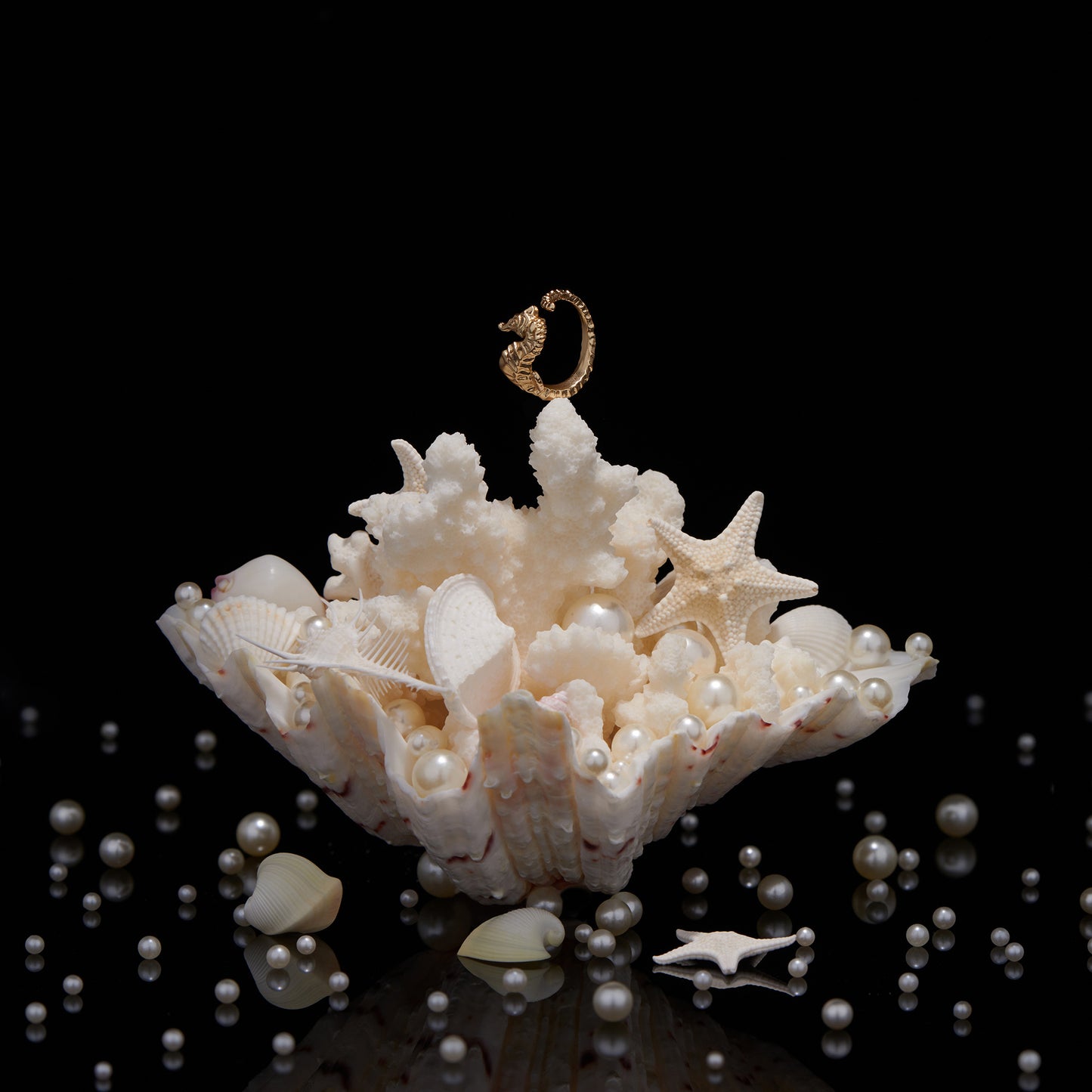 daparo Creature Jewelry Sets "Longnose Seahorse"