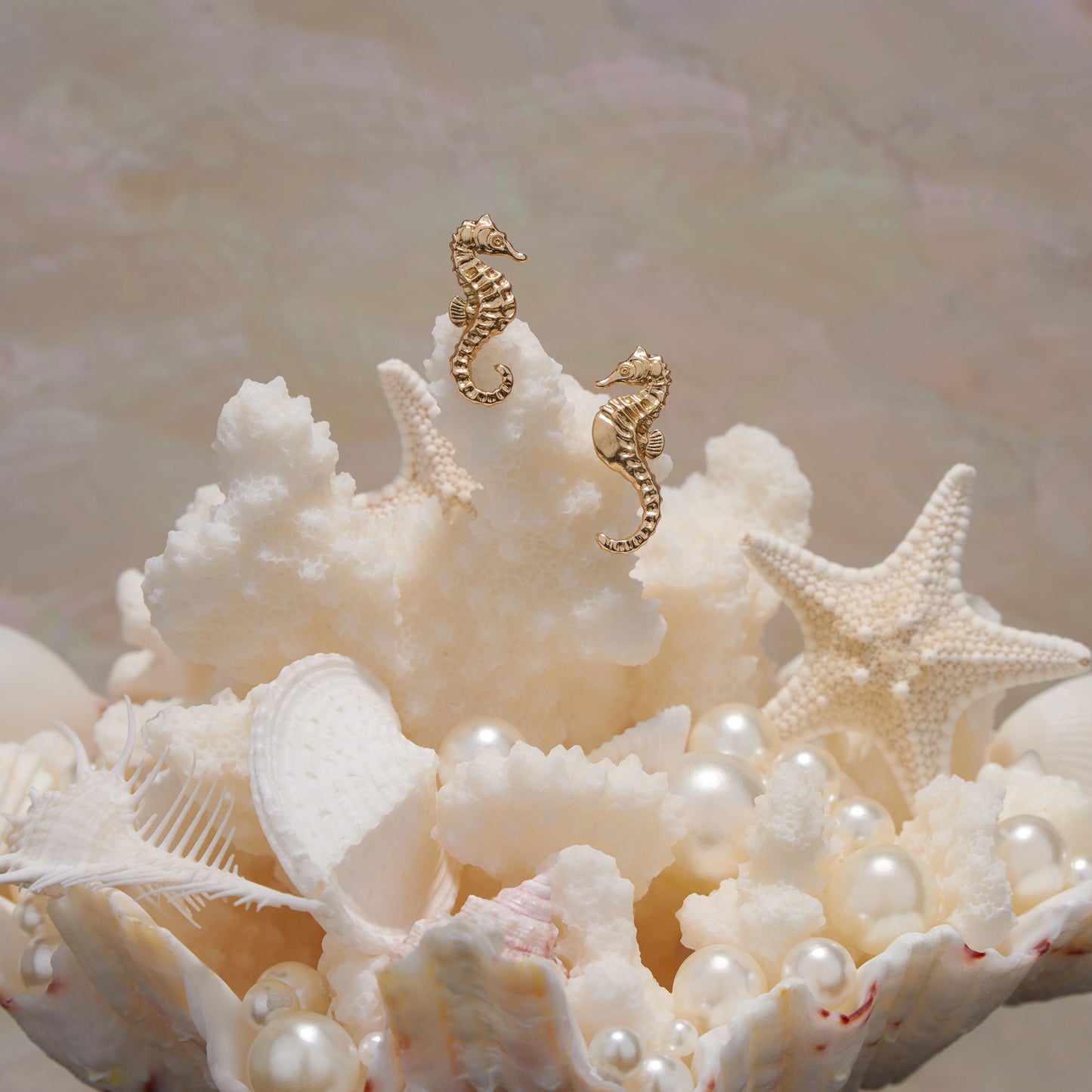 daparo Creature Jewelry Sets "Longnose Seahorse"